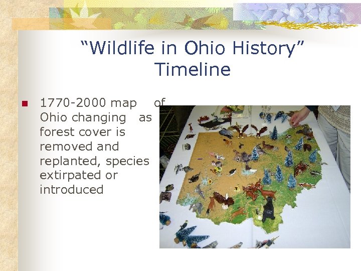 “Wildlife in Ohio History” Timeline n 1770 -2000 map of Ohio changing as forest