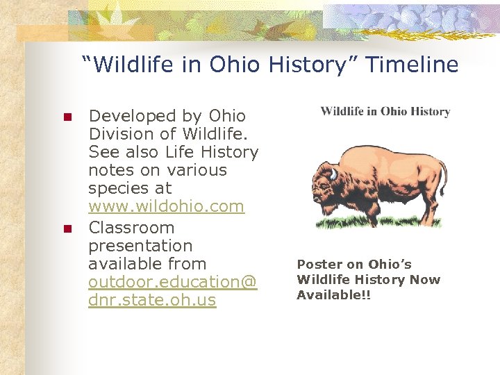 “Wildlife in Ohio History” Timeline n n Developed by Ohio Division of Wildlife. See