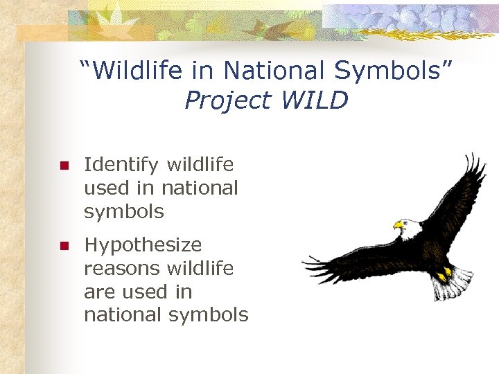 “Wildlife in National Symbols” Project WILD n Identify wildlife used in national symbols n