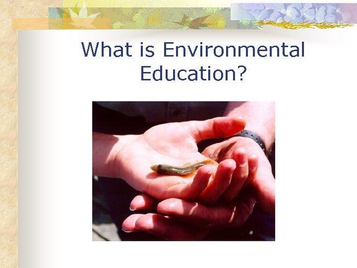 What is Environmental Education? 
