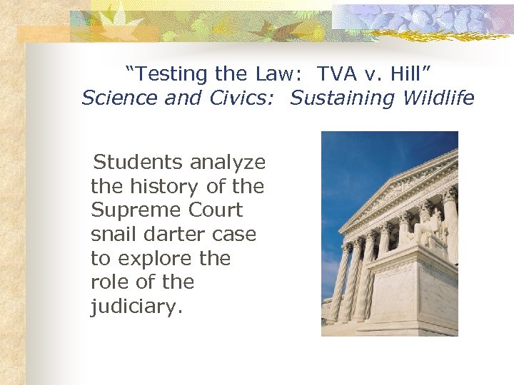 “Testing the Law: TVA v. Hill” Science and Civics: Sustaining Wildlife Students analyze the