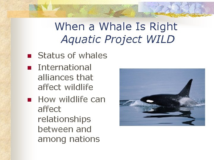 When a Whale Is Right Aquatic Project WILD n n n Status of whales