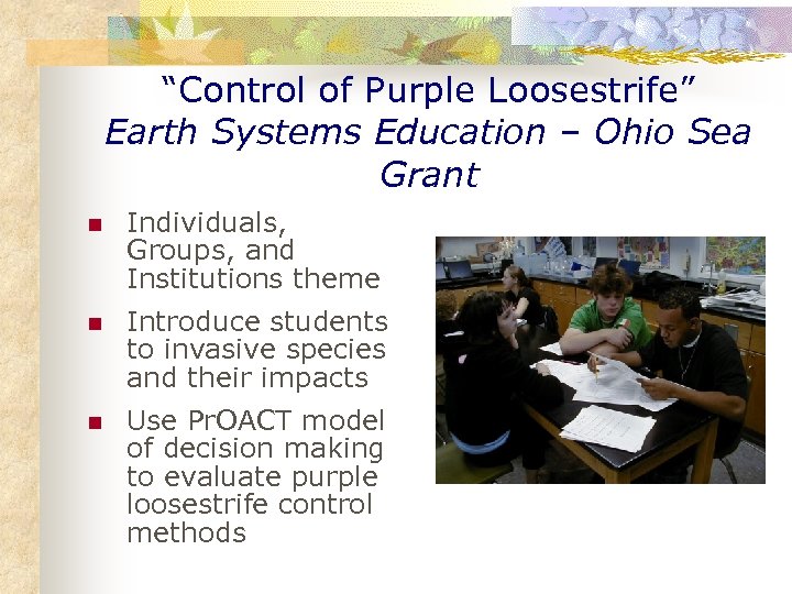“Control of Purple Loosestrife” Earth Systems Education – Ohio Sea Grant n Individuals, Groups,