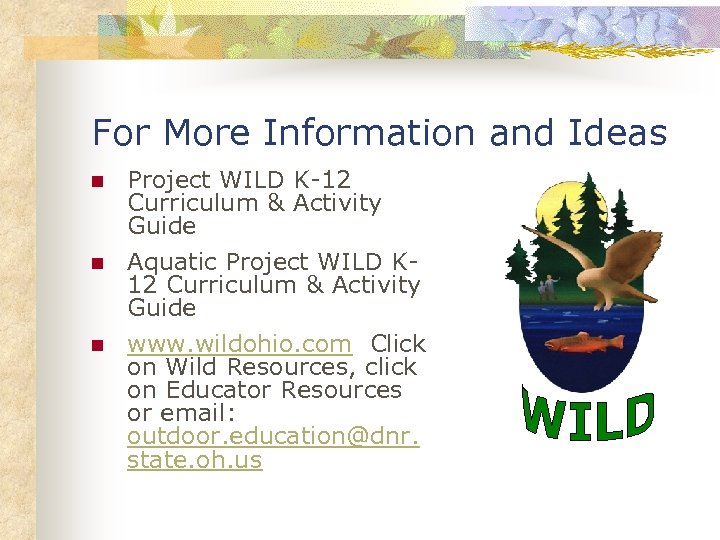 For More Information and Ideas n n n Project WILD K-12 Curriculum & Activity
