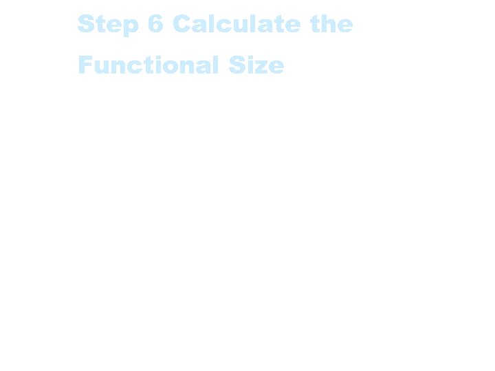 Step 6 Calculate the Functional Size The Functional Size (Function Point Index) is the