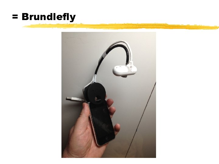 = Brundlefly © 2001 Steve Krug 