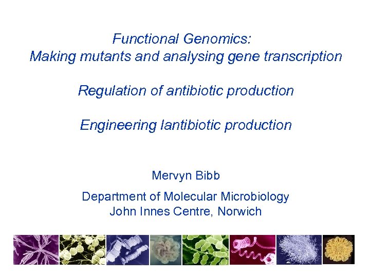 Functional Genomics: Making mutants and analysing gene transcription Regulation of antibiotic production Engineering lantibiotic