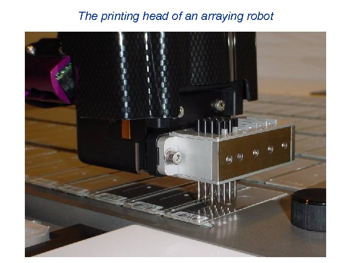 The printing head of an arraying robot 