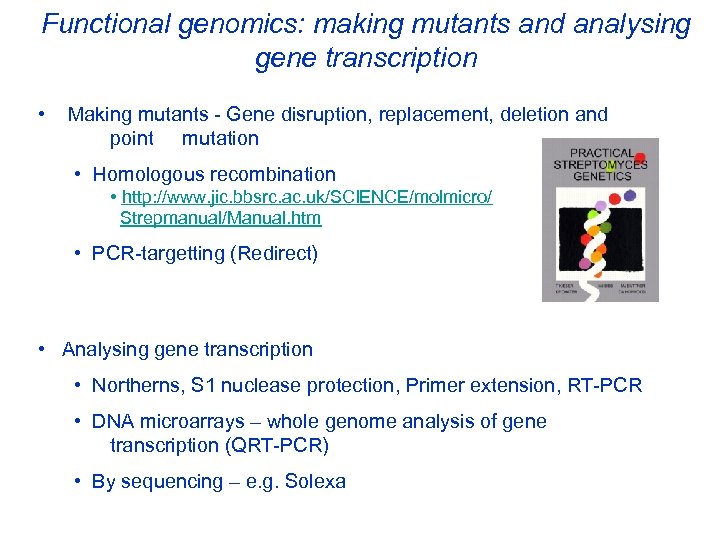 Functional genomics: making mutants and analysing gene transcription • Making mutants - Gene disruption,