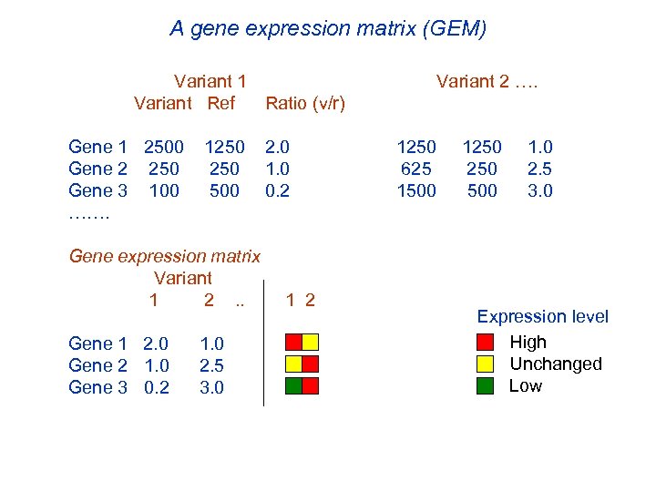 A gene expression matrix (GEM) Variant 1 Variant Ref Ratio (v/r) Gene 1 2500