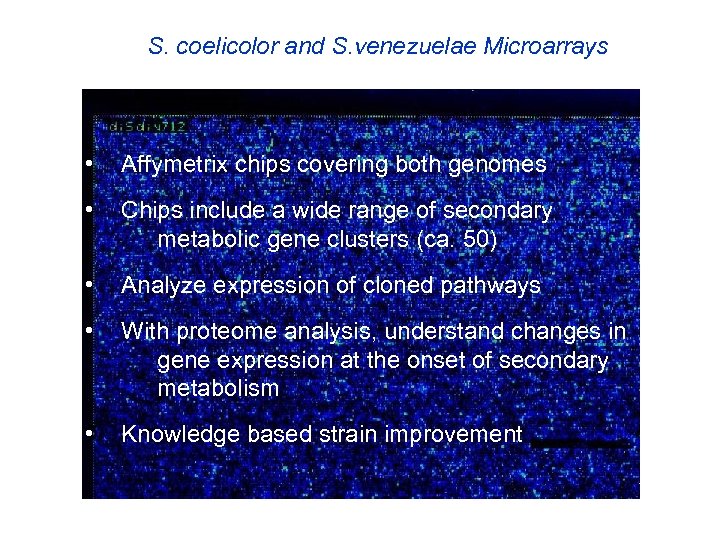 S. coelicolor and S. venezuelae Microarrays • Affymetrix chips covering both genomes • Chips