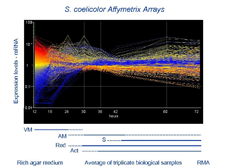 S. coelicolor Affymetrix Arrays Expression levels - m. RNA 100 10 1 0. 01