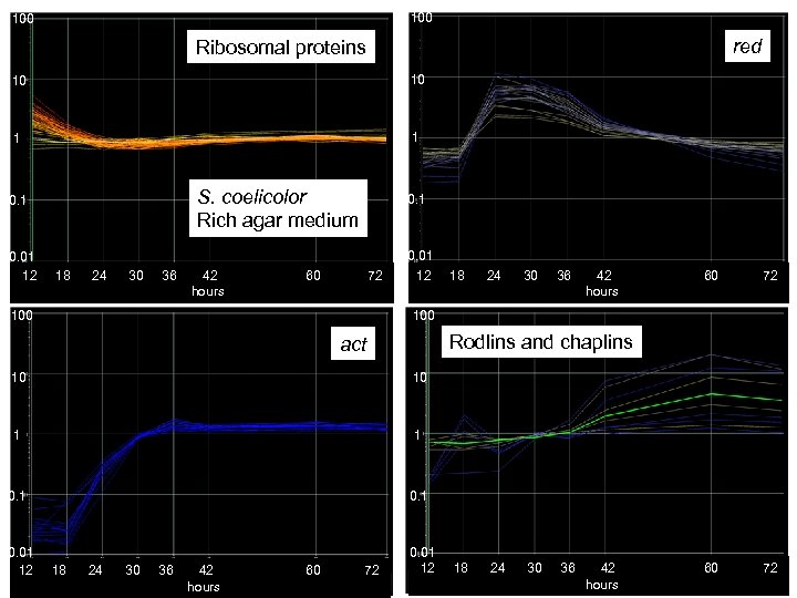 100 red Ribosomal proteins 10 10 1 1 0. 1 S. coelicolor Rich agar