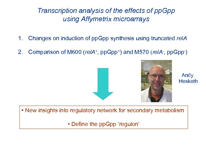 Transcription analysis of the effects of pp. Gpp using Affymetrix microarrays 1. Changes on