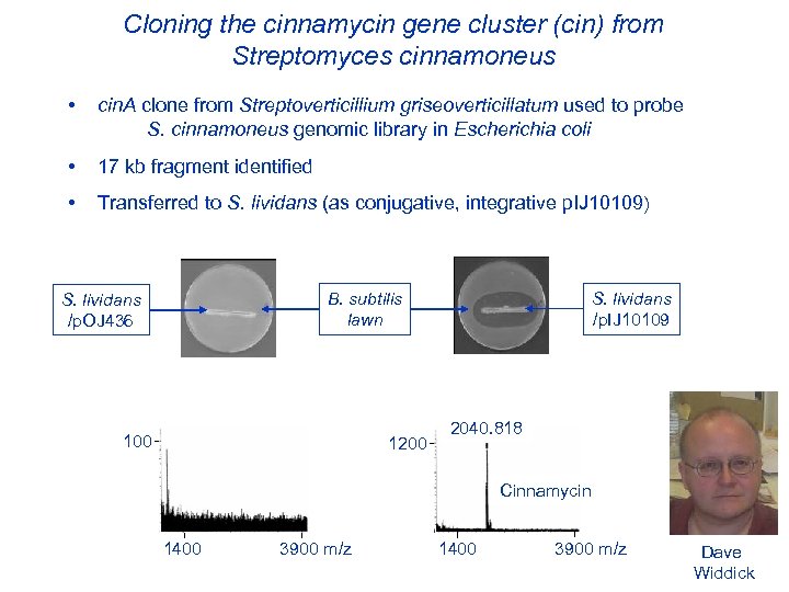Cloning the cinnamycin gene cluster (cin) from Streptomyces cinnamoneus • cin. A clone from