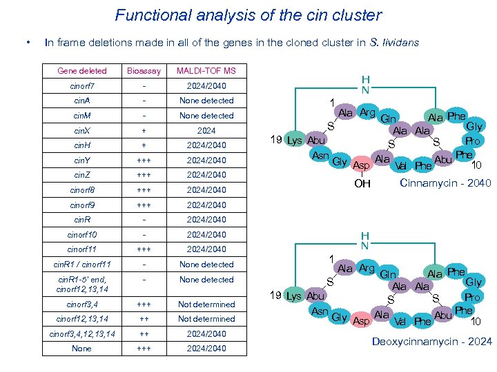 Functional analysis of the cin cluster • In frame deletions made in all of