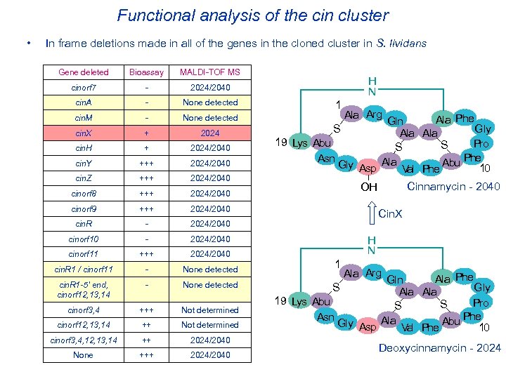 Functional analysis of the cin cluster • In frame deletions made in all of