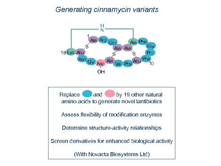 Generating cinnamycin variants H N 1 Ala Arg Ala Phe Gln Gly S Ala