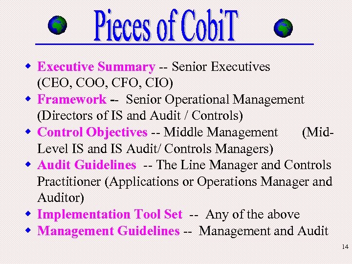 w Executive Summary -- Senior Executives (CEO, COO, CFO, CIO) w Framework -- Senior