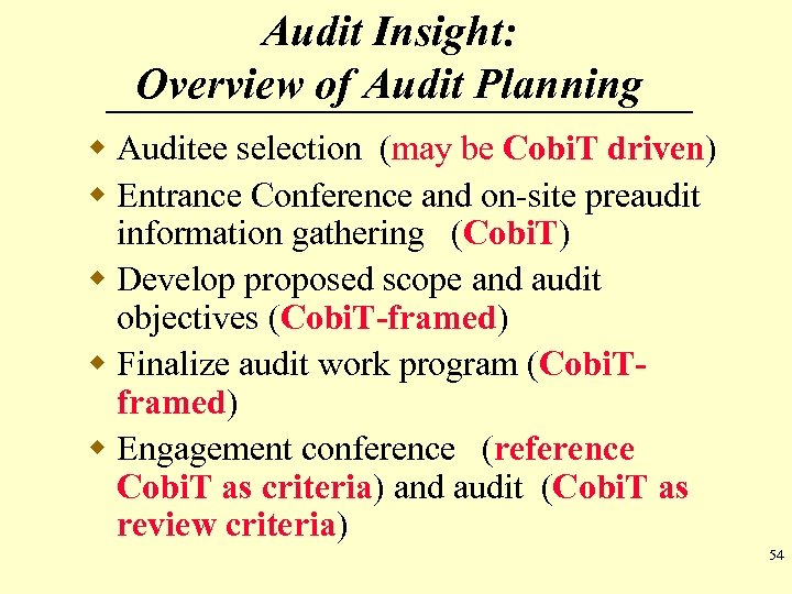 Audit Insight: Overview of Audit Planning w Auditee selection (may be Cobi. T driven)