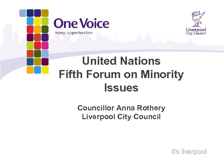 United Nations Fifth Forum on Minority Issues Councillor Anna Rothery Liverpool City Council 
