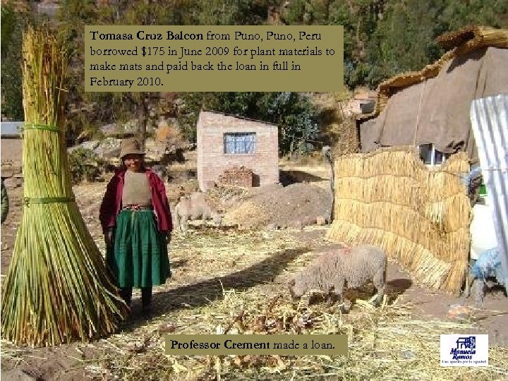 Tomasa Cruz Balcon from Puno, Peru borrowed $175 in June 2009 for plant materials