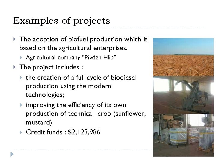 Examples of projects The adoption of biofuel production which is based on the agricultural
