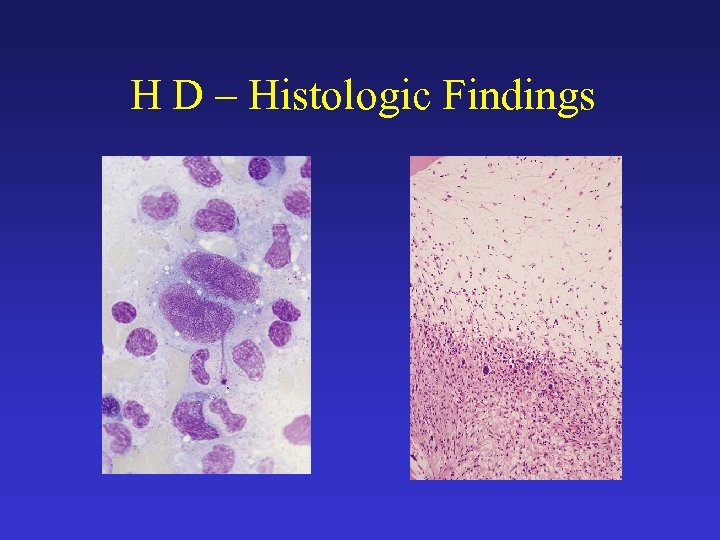 H D – Histologic Findings 