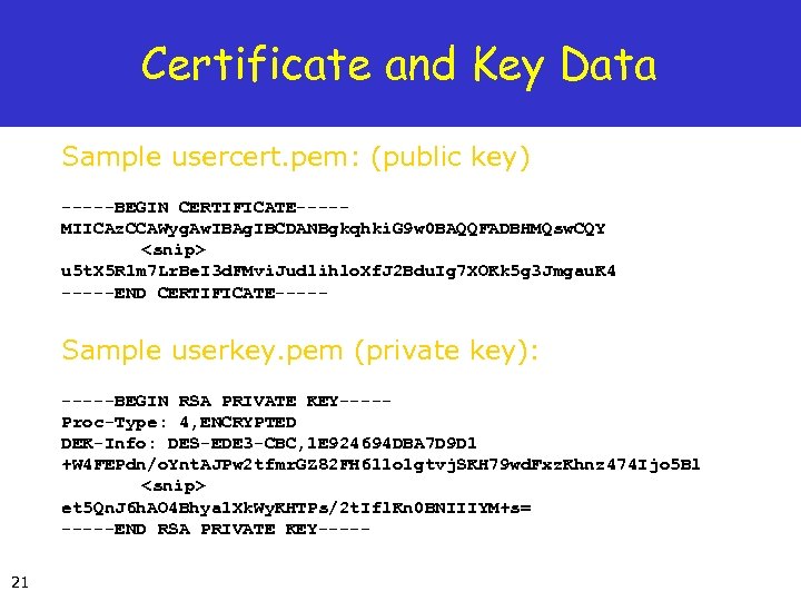 Certificate and Key Data Sample usercert. pem: (public key) -----BEGIN CERTIFICATE----MIICAz. CCAWyg. Aw. IBAg.