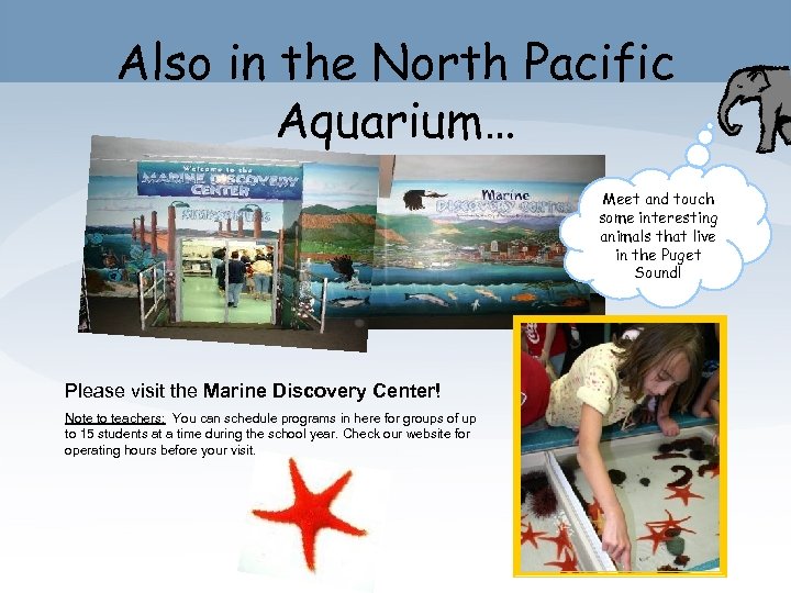 Also in the North Pacific Aquarium… Meet and touch some interesting animals that live