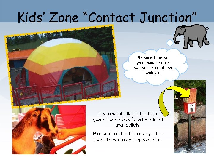 Kids’ Zone “Contact Junction” Be sure to wash your hands after you pet or