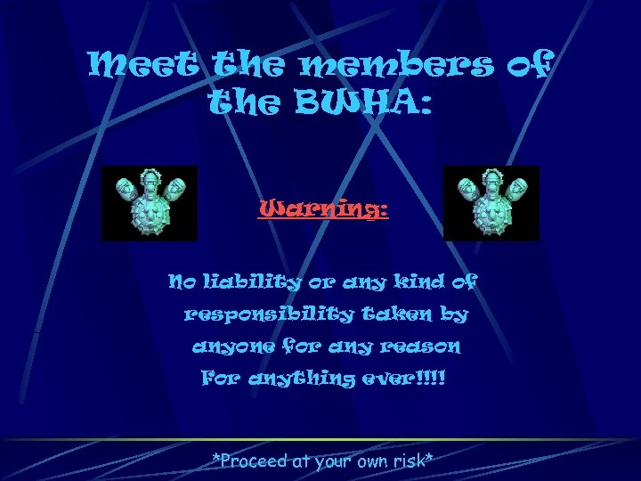 Meet the members of the BWHA: Warning: No liability or any kind of responsibility