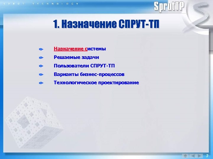 1. Назначение СПРУТ-ТП Назначение системы Решаемые задачи Пользователи СПРУТ-ТП Варианты бизнес-процессов Технологическое проектирование 3