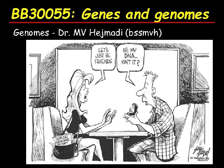 BB 30055: Genes and genomes Genomes - Dr. MV Hejmadi (bssmvh) 