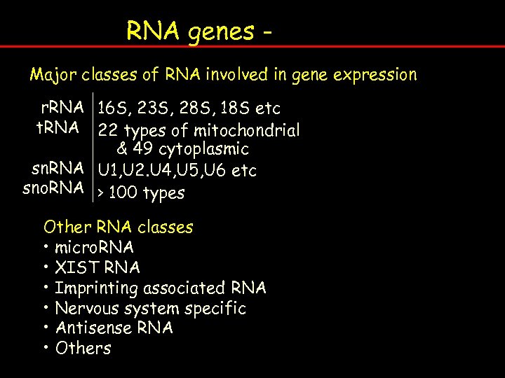 RNA genes - Nuclear genome organisation Major classes of RNA involved in gene expression