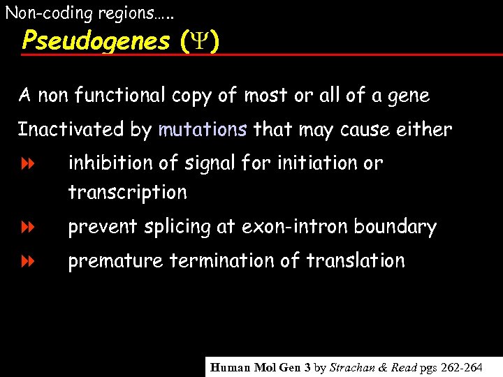 Non-coding regions…. . Pseudogenes ( ) A non functional copy of most or all