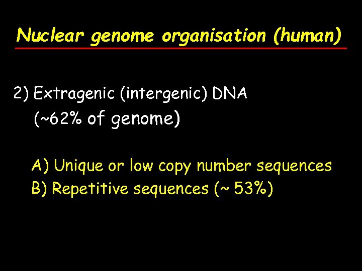 Nuclear genome organisation (human) 2) Extragenic (intergenic) DNA (~62% of genome) A) Unique or