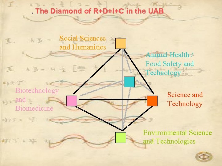 . The Diamond of R+D+I+C in the UAB Social Sciences and Humanities Biotechnology and