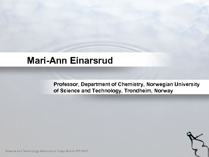 Mari-Ann Einarsrud Professor, Department of Chemistry, Norwegian University of Science and Technology, Trondheim, Norway