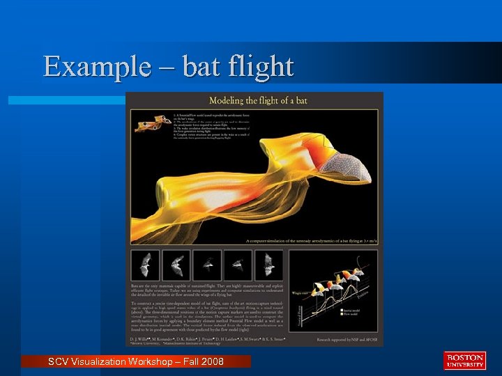 Example – bat flight SCV Visualization Workshop – Fall 2008 