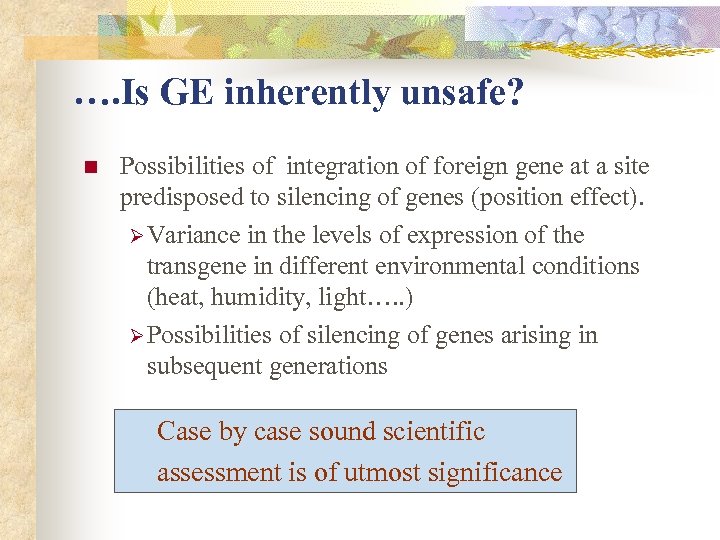 …. Is GE inherently unsafe? n Possibilities of integration of foreign gene at a