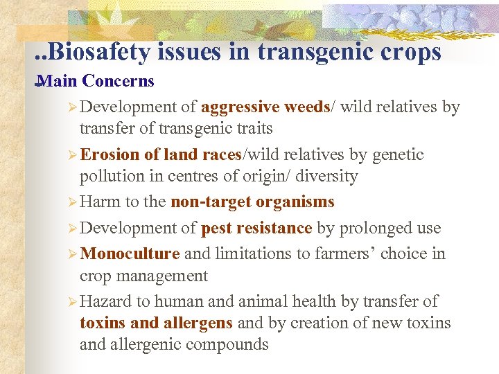 . . Biosafety issues in transgenic crops Main - Concerns Ø Development of aggressive