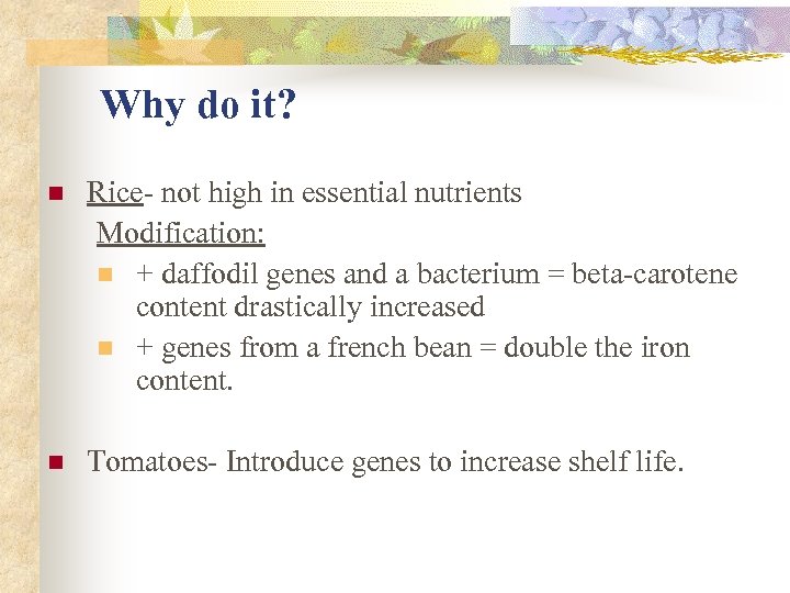 Why do it? n Rice- not high in essential nutrients Modification: n + daffodil