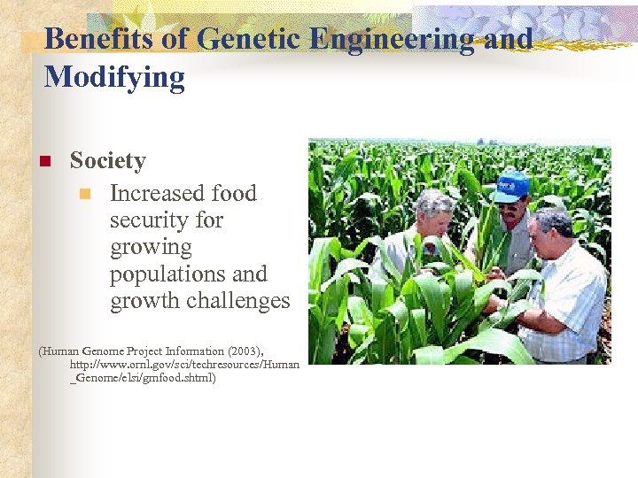 Benefits of Genetic Engineering and Modifying n Society n Increased food security for growing