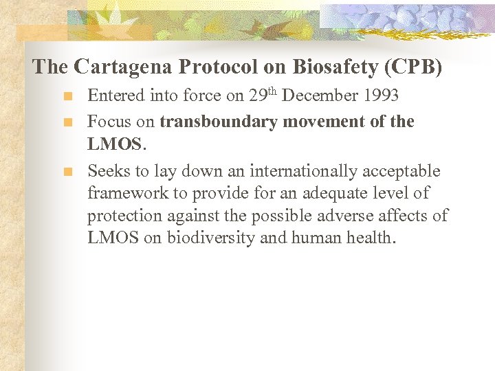The Cartagena Protocol on Biosafety (CPB) n n n Entered into force on 29