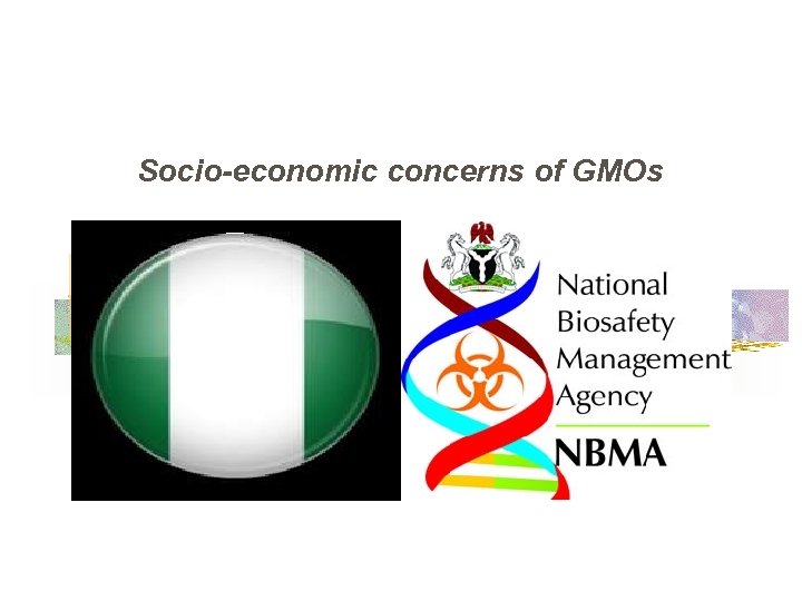 Socio-economic concerns of GMOs 