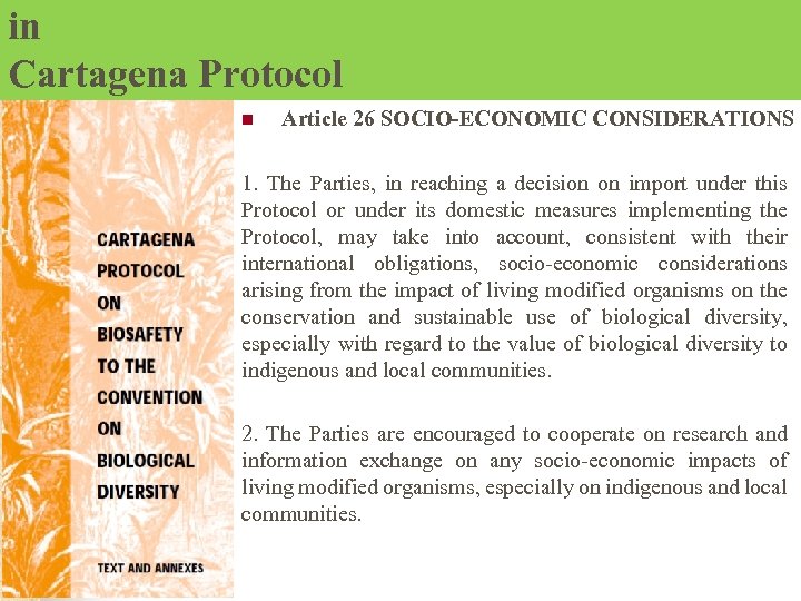 in Cartagena Protocol n Article 26 SOCIO-ECONOMIC CONSIDERATIONS 1. The Parties, in reaching a