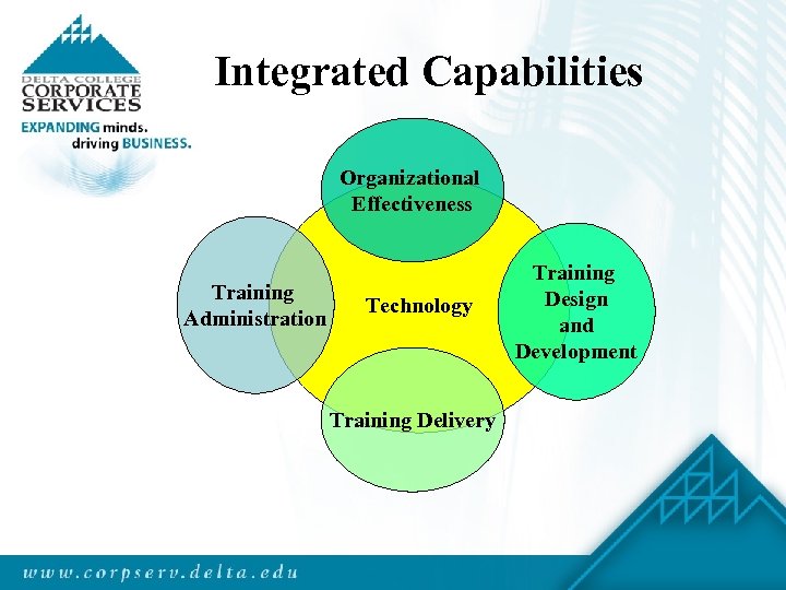 Integrated Capabilities Organizational Effectiveness Training Administration Technology Training Delivery Training Design and Development 