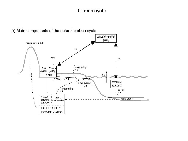 Carbon cycle 