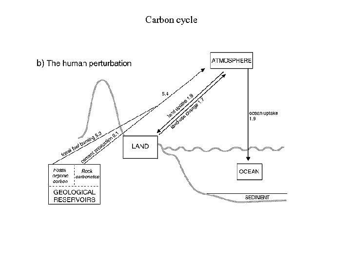 Carbon cycle 